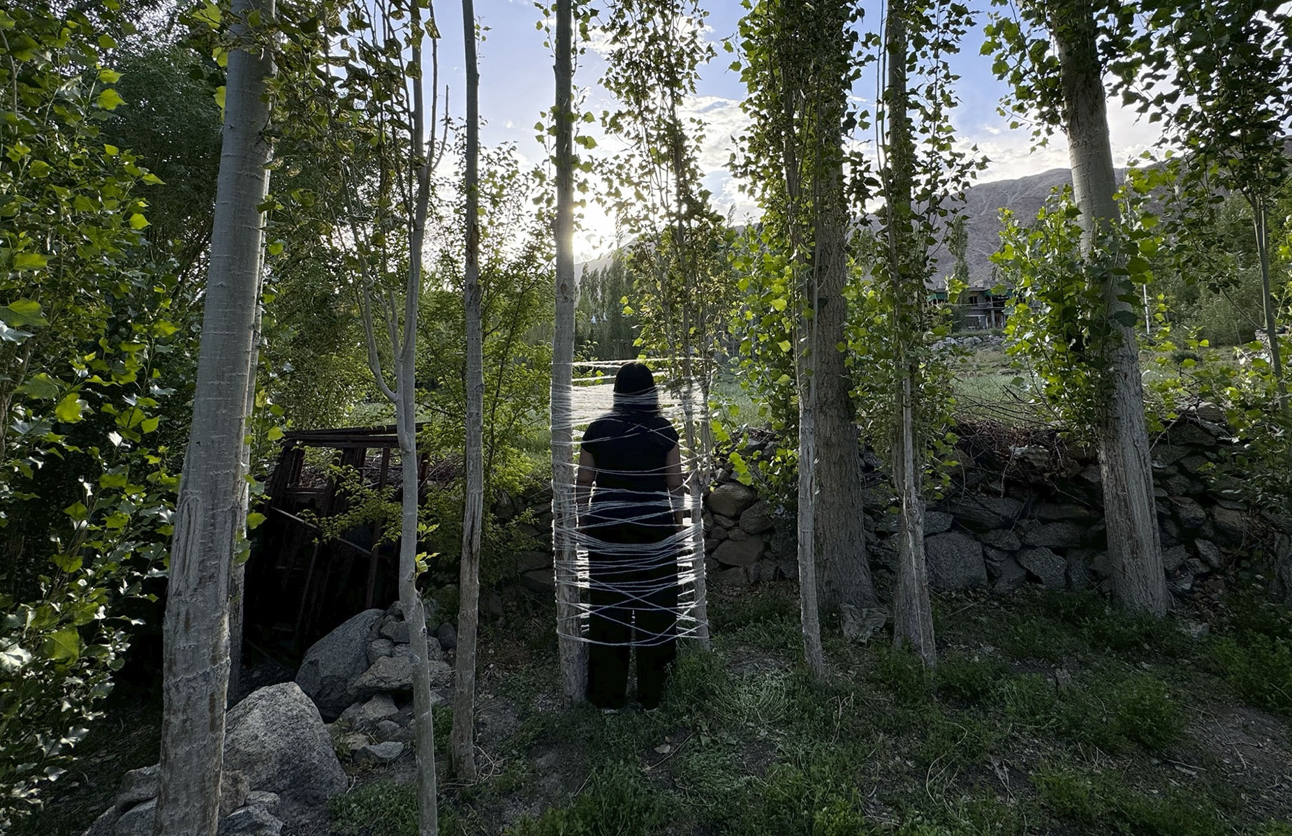 A figure bound to trees with thread, seen from behind in a grove in Ladakh