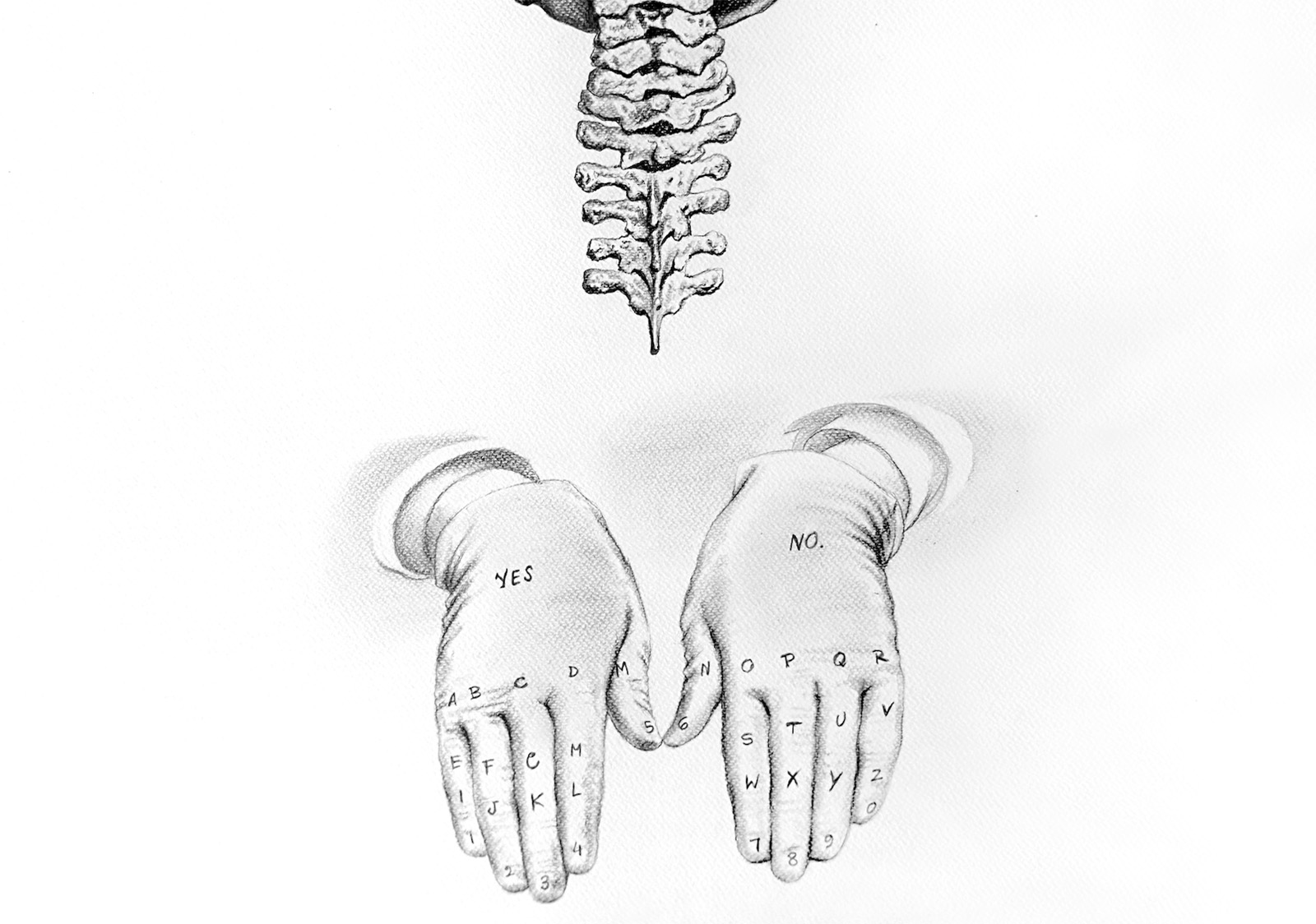 Drawing detail: two open palms lettered with the alphabet and the words yes and no, a drawn spine descending towards them